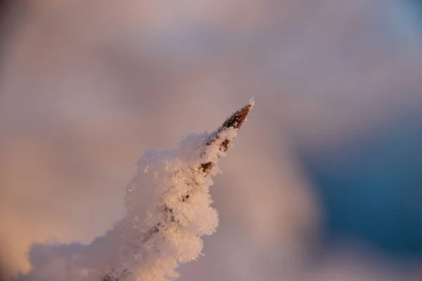 Archangelská Oblast Zima Okolí Obce Levkovka Krutých Silnice — Stock fotografie