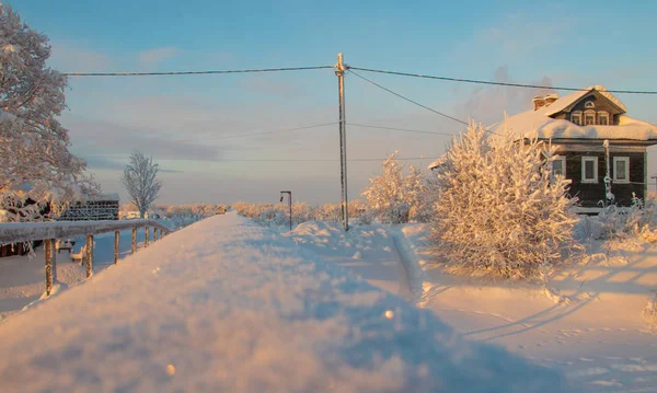 Gebiet Archangelsk Winter Der Nähe Des Dorfes Levkovka Schneebedeckte Felder — Stockfoto