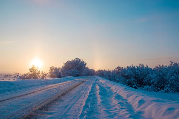 Région Arkhangelsk Hiver Dans Les Environs Village Levkovka Champs Routes — Photo