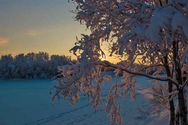 Région Arkhangelsk Hiver Dans Les Environs Village Levkovka Champs Routes — Photo