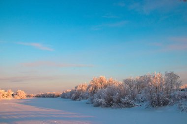 Arkhangelsk bölgesi. Kış Levkovka köyü civarında. Karla kaplı alanları ve yollar.