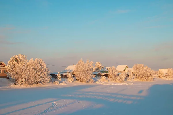 アルハンゲリスク地域 冬の村 Levkovka の近く 雪に覆われたフィールドと道路 — ストック写真