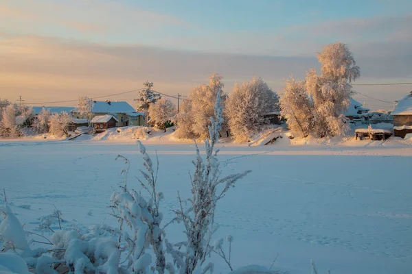 阿尔汉格尔斯克地区 冬天在莱夫卡村附近 被白雪覆盖的田野和道路 — 图库照片
