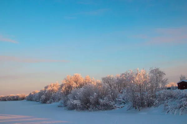 Gebiet Archangelsk Winter Der Nähe Des Dorfes Levkovka Schneebedeckte Felder — Stockfoto