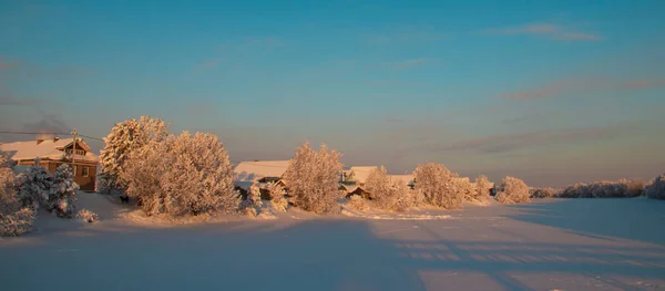 Región Arkhangelsk Invierno Las Proximidades Aldea Levkovka Campos Cubiertos Nieve —  Fotos de Stock