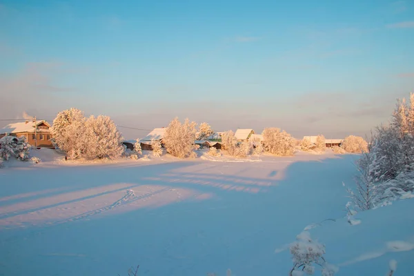 Región Arkhangelsk Invierno Las Proximidades Aldea Levkovka Campos Cubiertos Nieve —  Fotos de Stock