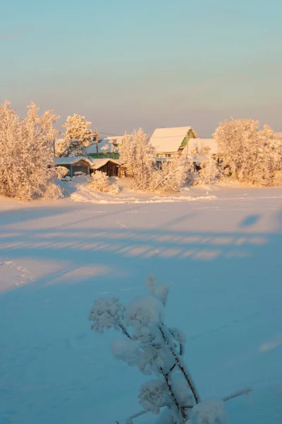 Gebiet Archangelsk Winter Der Nähe Des Dorfes Levkovka Schneebedeckte Felder — Stockfoto