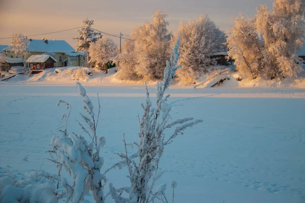 Região Arkhangelsk Inverno Nas Proximidades Aldeia Levkovka Campos Estradas Cobertas — Fotografia de Stock