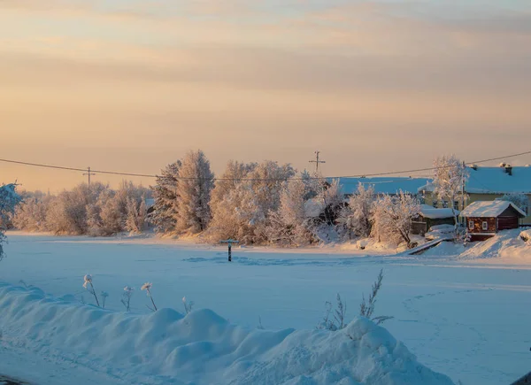Arkhangelsk bölgesi. Kış Levkovka köyü civarında. Karla kaplı alanları ve yollar.