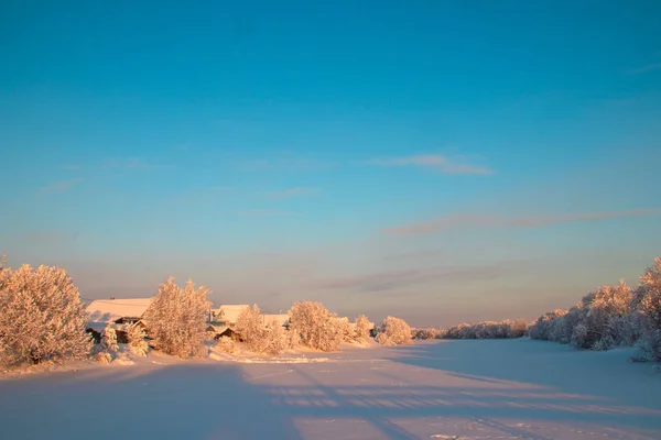 Archangelsk Regio Winter Nabijheid Van Het Dorp Levkovka Besneeuwde Velden — Stockfoto