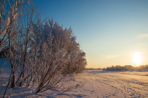 Região Arkhangelsk Inverno Nas Proximidades Aldeia Levkovka Campos Estradas Cobertas — Fotografia de Stock