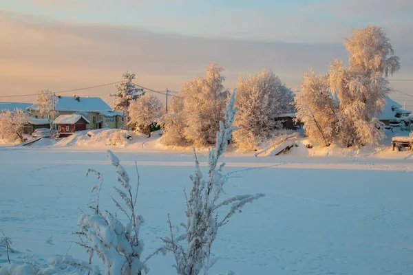 Región Arkhangelsk Invierno Las Proximidades Aldea Levkovka Campos Cubiertos Nieve —  Fotos de Stock