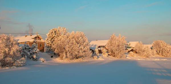 Gebiet Archangelsk Winter Der Nähe Des Dorfes Levkovka Schneebedeckte Felder — Stockfoto