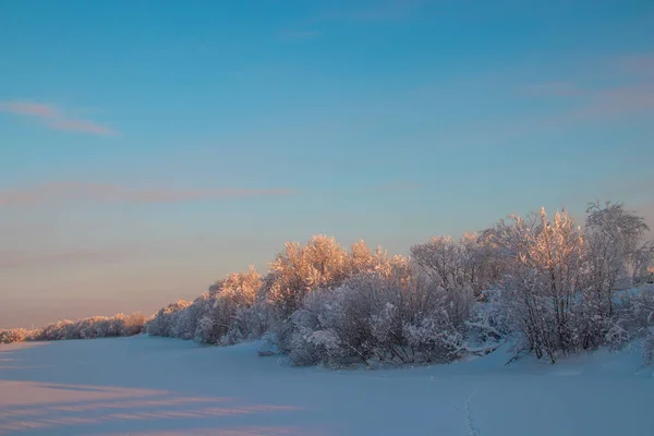 Arkhangelsk Region Winter Vicinity Village Levkovka Snow Covered Fields Roads — Stock Photo, Image