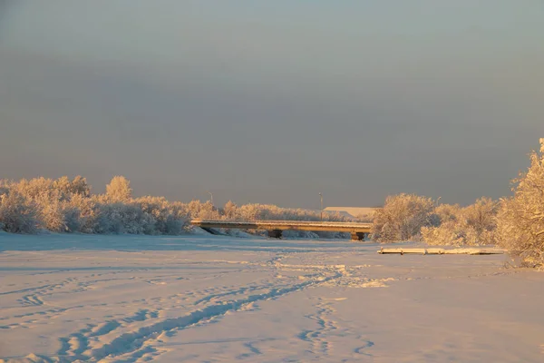 Región Arkhangelsk Invierno Las Proximidades Aldea Levkovka Campos Cubiertos Nieve —  Fotos de Stock