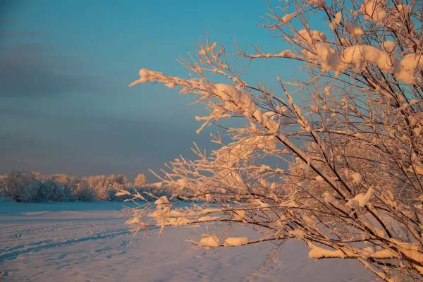 Arkhangelsk Region Winter Vicinity Village Levkovka Snow Covered Fields Roads — Stock Photo, Image