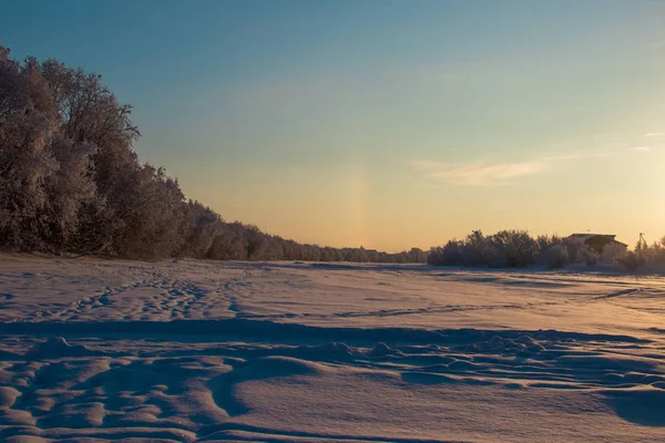 Região Arkhangelsk Inverno Nas Proximidades Aldeia Levkovka Campos Estradas Cobertas — Fotografia de Stock