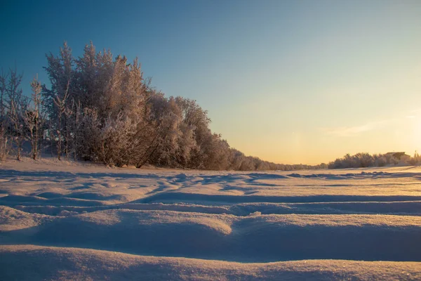 Região Arkhangelsk Inverno Nas Proximidades Aldeia Levkovka Campos Estradas Cobertas — Fotografia de Stock