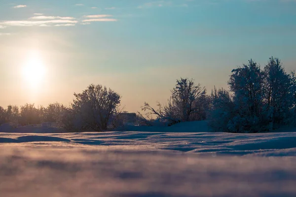 Região Arkhangelsk Inverno Nas Proximidades Aldeia Levkovka Campos Estradas Cobertas — Fotografia de Stock