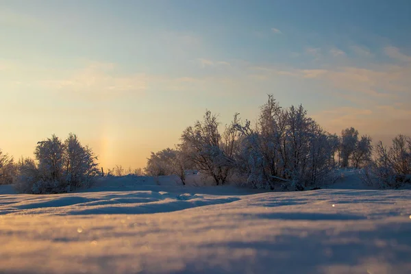 Região Arkhangelsk Inverno Nas Proximidades Aldeia Levkovka Campos Estradas Cobertas — Fotografia de Stock