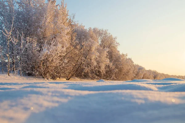 Região Arkhangelsk Inverno Nas Proximidades Aldeia Levkovka Campos Estradas Cobertas — Fotografia de Stock