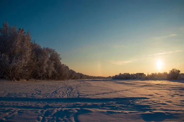 Região Arkhangelsk Inverno Nas Proximidades Aldeia Levkovka Campos Estradas Cobertas — Fotografia de Stock