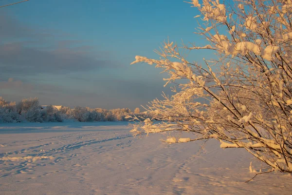 Región Arkhangelsk Invierno Las Proximidades Aldea Levkovka Campos Cubiertos Nieve — Foto de Stock