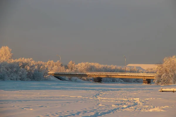 Região Arkhangelsk Inverno Nas Proximidades Aldeia Levkovka Campos Estradas Cobertas — Fotografia de Stock