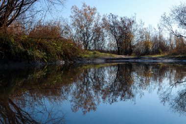 Arkhangelsk 'de sonbahar günü. Ada Krasnoflotsky. yansıma 