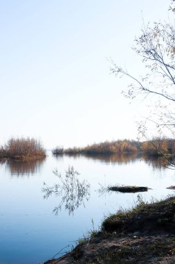 Arkhangelsk 'de sonbahar günü. Ada Krasnoflotsky. yansıma 