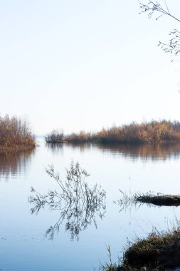 Arkhangelsk 'de sonbahar günü. Ada Krasnoflotsky. yansıma 