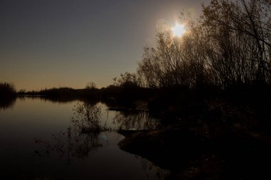 Arkhangelsk 'de sonbahar günü. Ada Krasnoflotsky. yansıma 