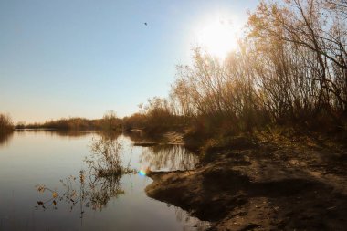 Arkhangelsk 'de sonbahar günü. Ada Krasnoflotsky. yansıma 