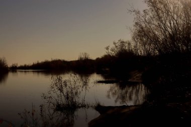 Arkhangelsk 'de sonbahar günü. Ada Krasnoflotsky. yansıma 