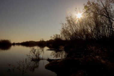 Arkhangelsk 'de sonbahar günü. Ada Krasnoflotsky. yansıma 