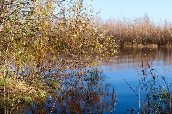 Arkhangelsk 'de sonbahar günü. Nehir kuzey Dvina görünümü ve 