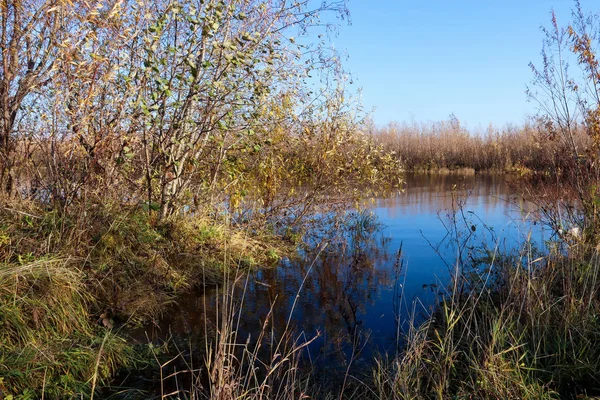 Autumn day in Arkhangelsk. Island Krasnoflotsky. the reflection — Stock Image Autumn day in Arkhangelsk. Island Krasnoflotsky. the reflection Stock Photo