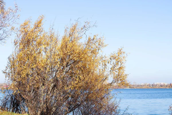 Arkhangelsk 'de sonbahar günü. Nehir kuzey Dvina görünümü ve 