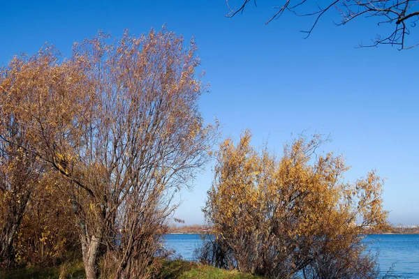Arkhangelsk 'de sonbahar günü. Nehir kuzey Dvina görünümü ve 