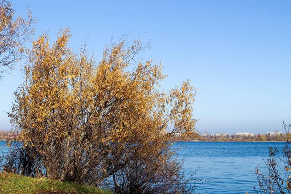 Autumn day in Arkhangelsk. View of the river Northern Dvina and — Stock Image Autumn day in Arkhangelsk. View of the river Northern Dvina and Stock Photo