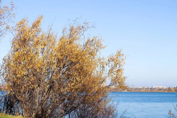 Autumn day in Arkhangelsk. View of the river Northern Dvina and — Stock Image Autumn day in Arkhangelsk. View of the river Northern Dvina and Royalty Free Stock Photos
