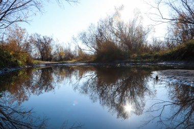 Arkhangelsk 'de sonbahar günü. Ada Krasnoflotsky. yansıma 