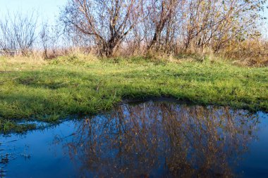 Arkhangelsk 'de sonbahar günü. Ada Krasnoflotsky. yansıma 