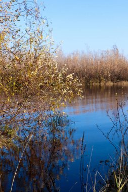 Arkhangelsk 'de sonbahar günü. Nehir kuzey Dvina görünümü ve 