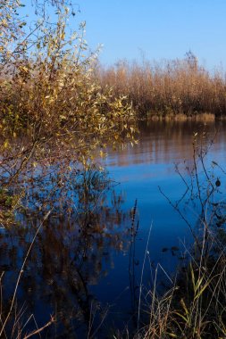 Arkhangelsk 'de sonbahar günü. Nehir kuzey Dvina görünümü ve 