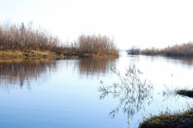 Arkhangelsk 'de sonbahar günü. Ada Krasnoflotsky. yansıma 