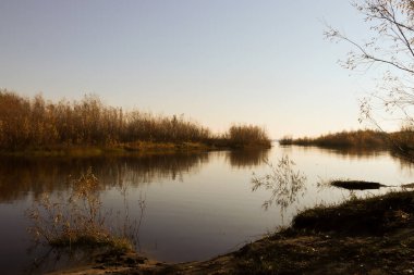 Arkhangelsk 'de sonbahar günü. Ada Krasnoflotsky. yansıma 