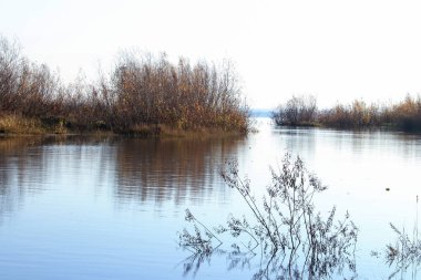 Arkhangelsk 'de sonbahar günü. Ada Krasnoflotsky. yansıma 