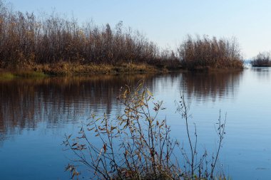 Arkhangelsk 'de sonbahar günü. Ada Krasnoflotsky. yansıma 