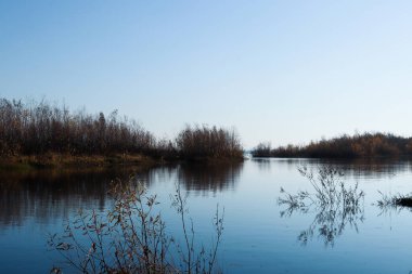 Arkhangelsk 'de sonbahar günü. Ada Krasnoflotsky. yansıma 